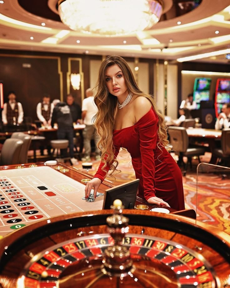 dailyjili vip